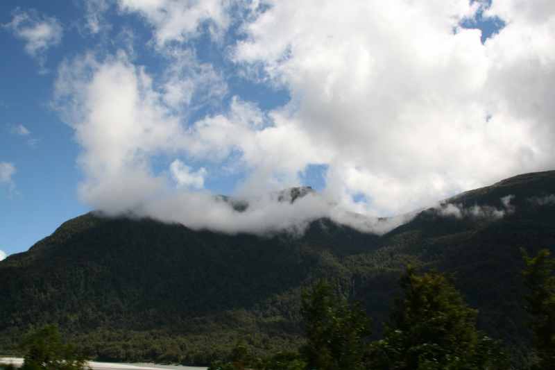 Nieuw-Zeeland 2011 - 1557